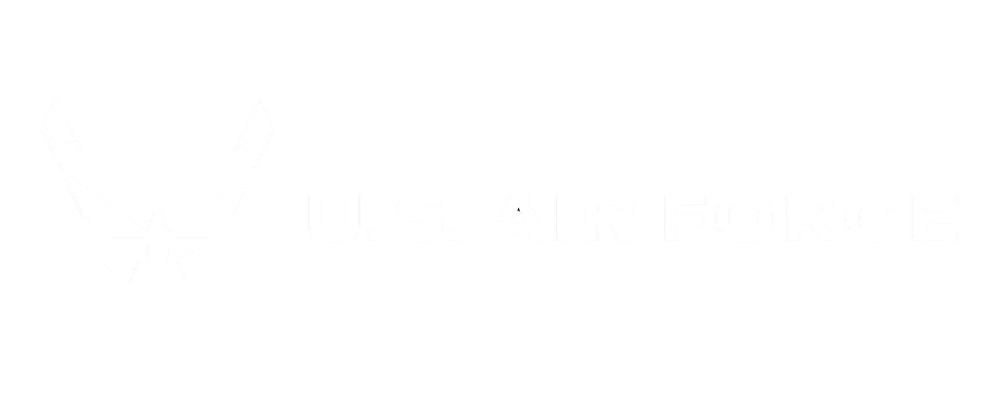 Department of the Air Force