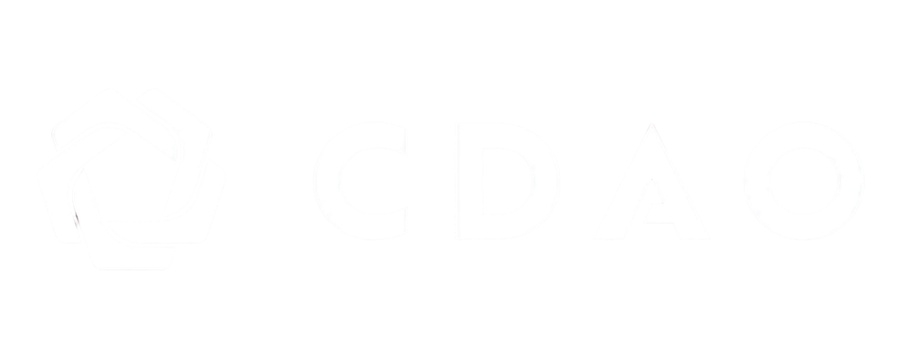 Chief Digital and Artificial Intelligence Office